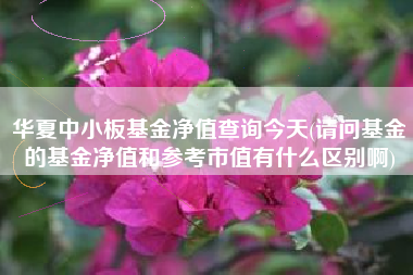 华夏中小板基金净值查询今天(请问基金的基金净值和参考市值有什么区别啊)