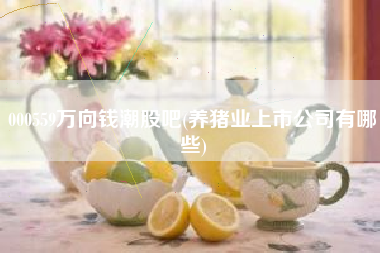 000559万向钱潮股吧(养猪业上市公司有哪些)