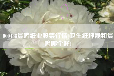 000488晨鸣纸业股票行情(卫生纸坤晟和晨鸣哪个好)