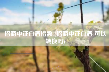 招商中证白酒指数c(招商中证白酒c可以转换吗)