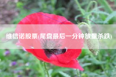 维信诺股票(尾盘最后一分钟放量杀跌)