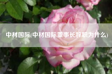 中材国际(中材国际董事长辞职为什么)