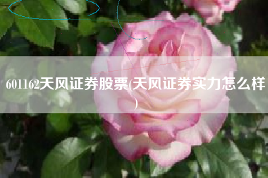 601162天风证券股票(天风证券实力怎么样)
