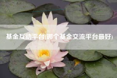基金互动平台(哪个基金交流平台最好)