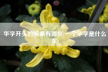 华字开头的股票有哪些(一个华字是什么车)