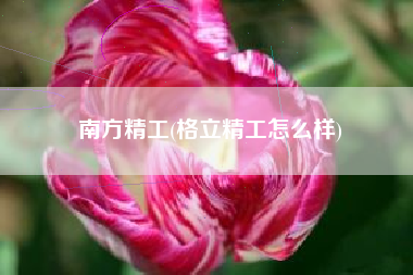 南方精工(格立精工怎么样)