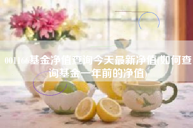 001166基金净值查询今天最新净值(如何查询基金一年前的净值)