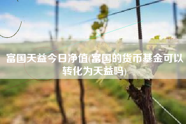 富国天益今日净值(富国的货币基金可以转化为天益吗)