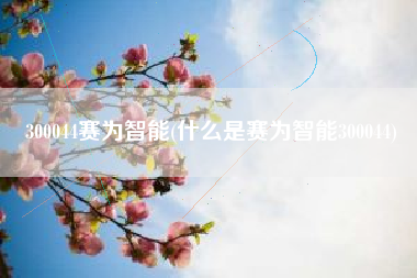300044赛为智能(什么是赛为智能300044)
