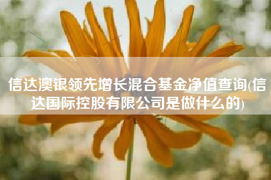信达澳银领先增长混合基金净值查询(信达国际控股有限公司是做什么的)