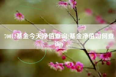 70012基金今天净值查询(基金净值如何查询)