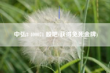 中弘3 400071 股吧(获得免死金牌)
