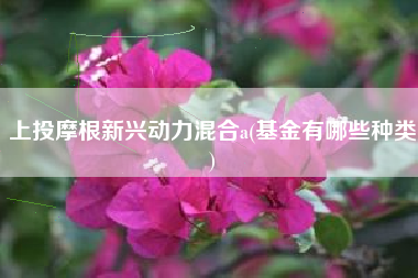 上投摩根新兴动力混合a(基金有哪些种类)