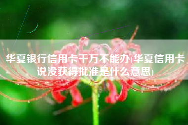 华夏银行信用卡千万不能办(华夏信用卡说没获得批准是什么意思)