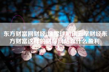 东方财富网财经(像雪球和讯云掌财经东方财富这样的财经网站靠什么盈利)