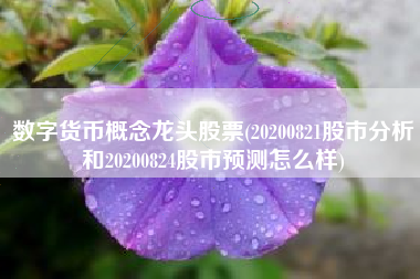 数字货币概念龙头股票(20200821股市分析和20200824股市预测怎么样)