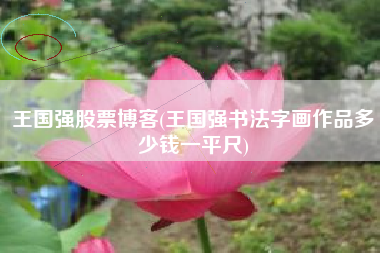 王国强股票博客(王国强书法字画作品多少钱一平尺)