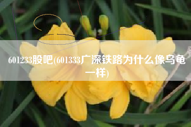601233股吧(601333广深铁路为什么像乌龟一样)
