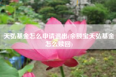天弘基金怎么申请退出(余额宝天弘基金怎么赎回)
