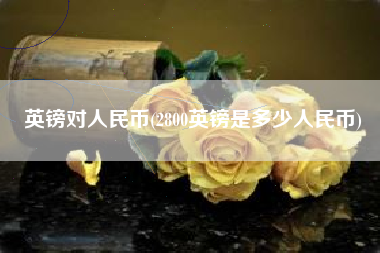 英镑对人民币(2800英镑是多少人民币)
