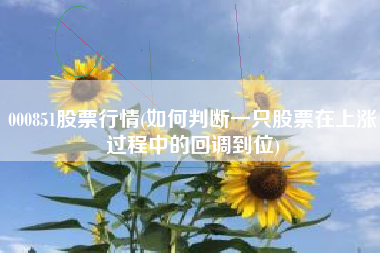 000851股票行情(如何判断一只股票在上涨过程中的回调到位)