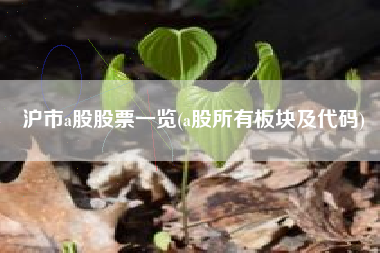 沪市a股股票一览(a股所有板块及代码)