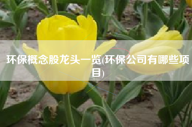 环保概念股龙头一览(环保公司有哪些项目)