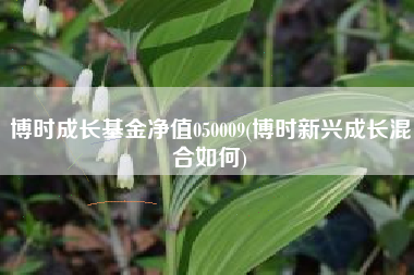 博时成长基金净值050009(博时新兴成长混合如何)