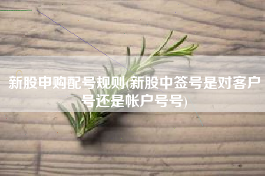 新股申购配号规则(新股中签号是对客户号还是帐户号号)