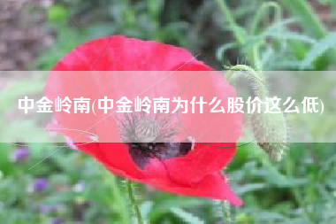 中金岭南(中金岭南为什么股价这么低)