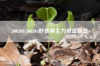300204(300204舒泰神主力做盘明显)
