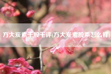 方大炭素千股千评(方大炭素股票怎么样)
