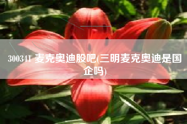 300341 麦克奥迪股吧(三明麦克奥迪是国企吗)