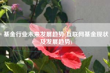 基金行业未来发展趋势(互联网基金现状及发展趋势)
