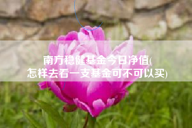 南方稳健基金今日净值(
怎样去看一支基金可不可以买)