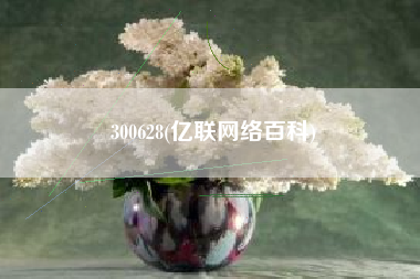 300628(亿联网络百科)