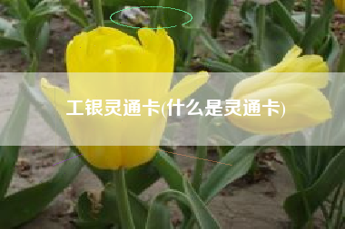 工银灵通卡(什么是灵通卡)