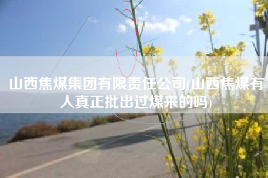 山西焦煤集团有限责任公司(山西焦煤有人真正批出过煤来的吗)