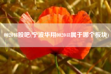 002048股吧(宁波华翔002048属于哪个板块)