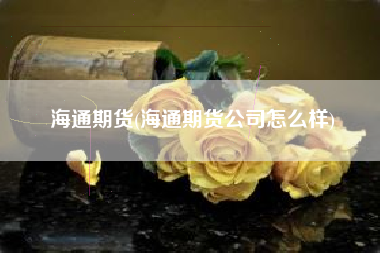 海通期货(海通期货公司怎么样)