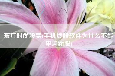 东方时尚股票(手机炒股软件为什么不能申购新股)