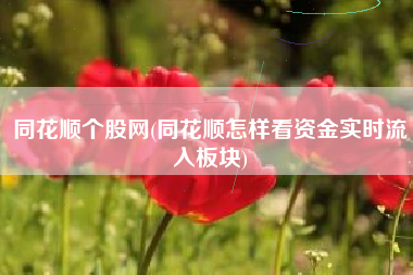 同花顺个股网(同花顺怎样看资金实时流入板块)