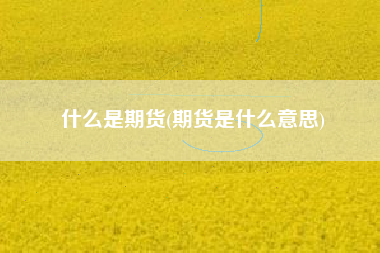 什么是期货(期货是什么意思)