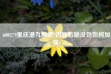 详细阅读:600279重庆港九股吧(边牧后腿没劲如何加强) 600279重庆港九股吧(边牧后腿没劲如何加强)