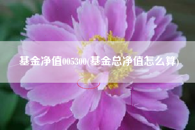 基金净值005300(基金总净值怎么算)