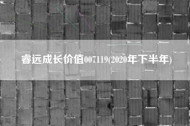 详细阅读:睿远成长价值007119(2020年下半年) 睿远成长价值007119(2020年下半年)