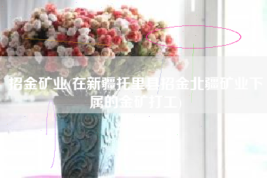 详细阅读:招金矿业(在新疆托里县招金北疆矿业下属的金矿打工) 招金矿业(在新疆托里县招金北疆矿业下属的金矿打工)