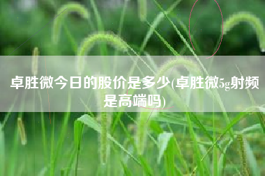 卓胜微今日的股价是多少(卓胜微5g射频是高端吗)