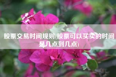 股票交易时间规则(股票可以买卖的时间是几点到几点)