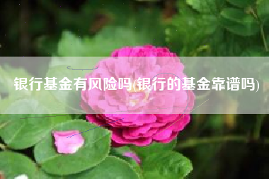 银行基金有风险吗(银行的基金靠谱吗)